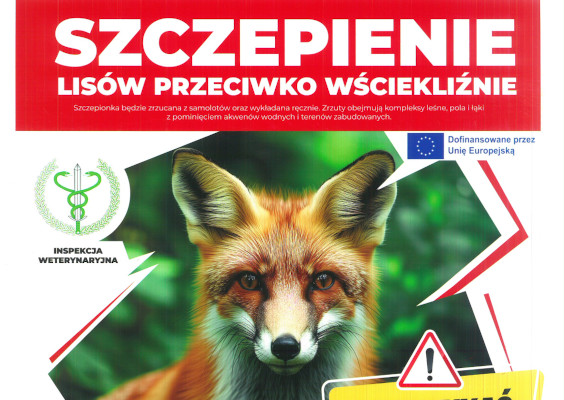 Szczepienie lisów